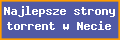 Najlepsze strony torrent w Necie